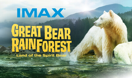 Great Bear Rainforest Graphic