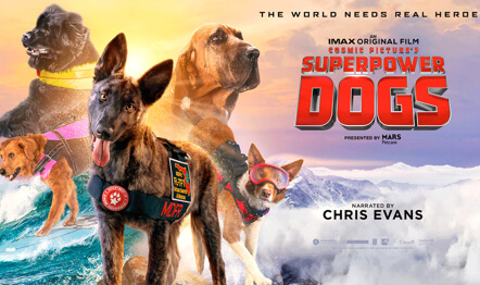 Superpower Dogs Graphic