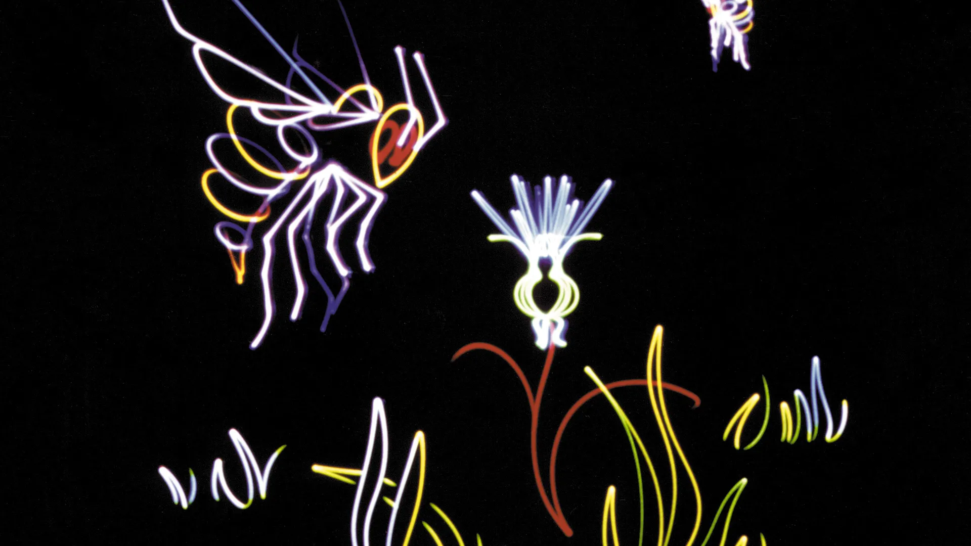 Symphony of the Stars2