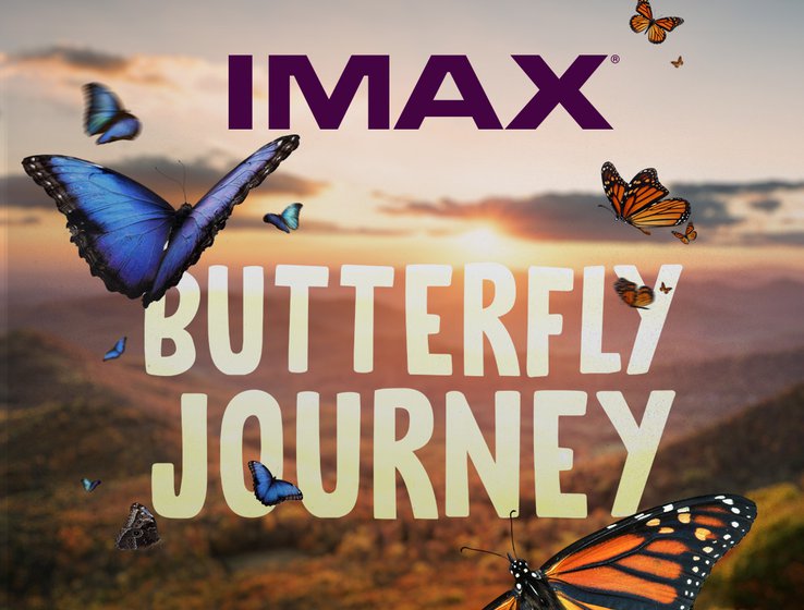 Butterfly Journey Opening