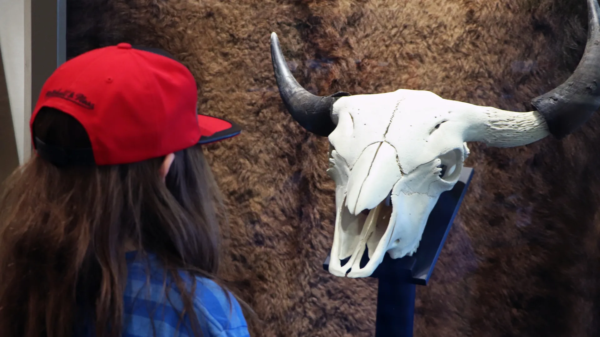 northern lights space.JPG