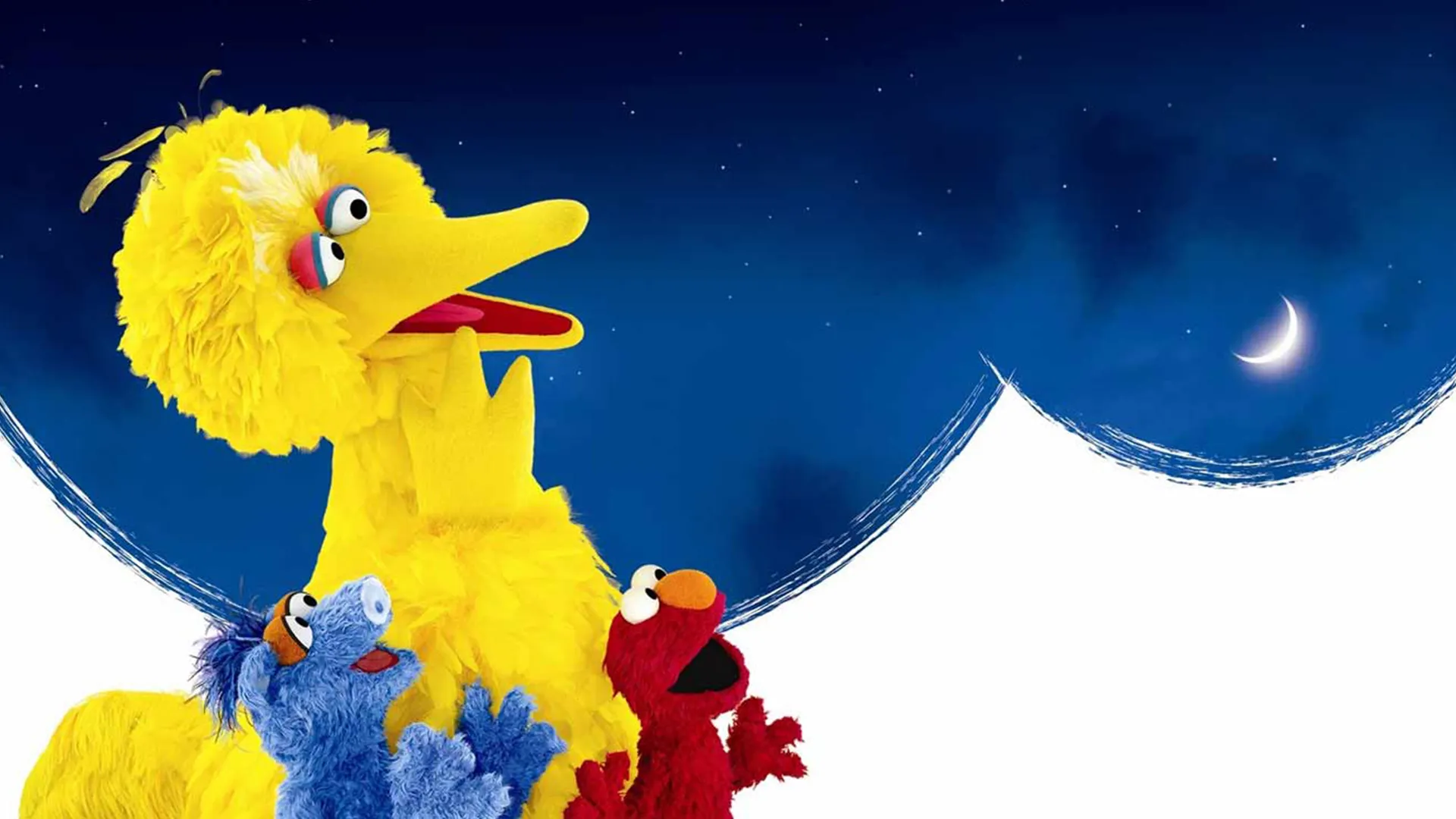President Joe Biden congratulates Big Bird for COVID vaccine while Texas  senator accuses Sesame Street muppet of propaganda  World News  Sky News