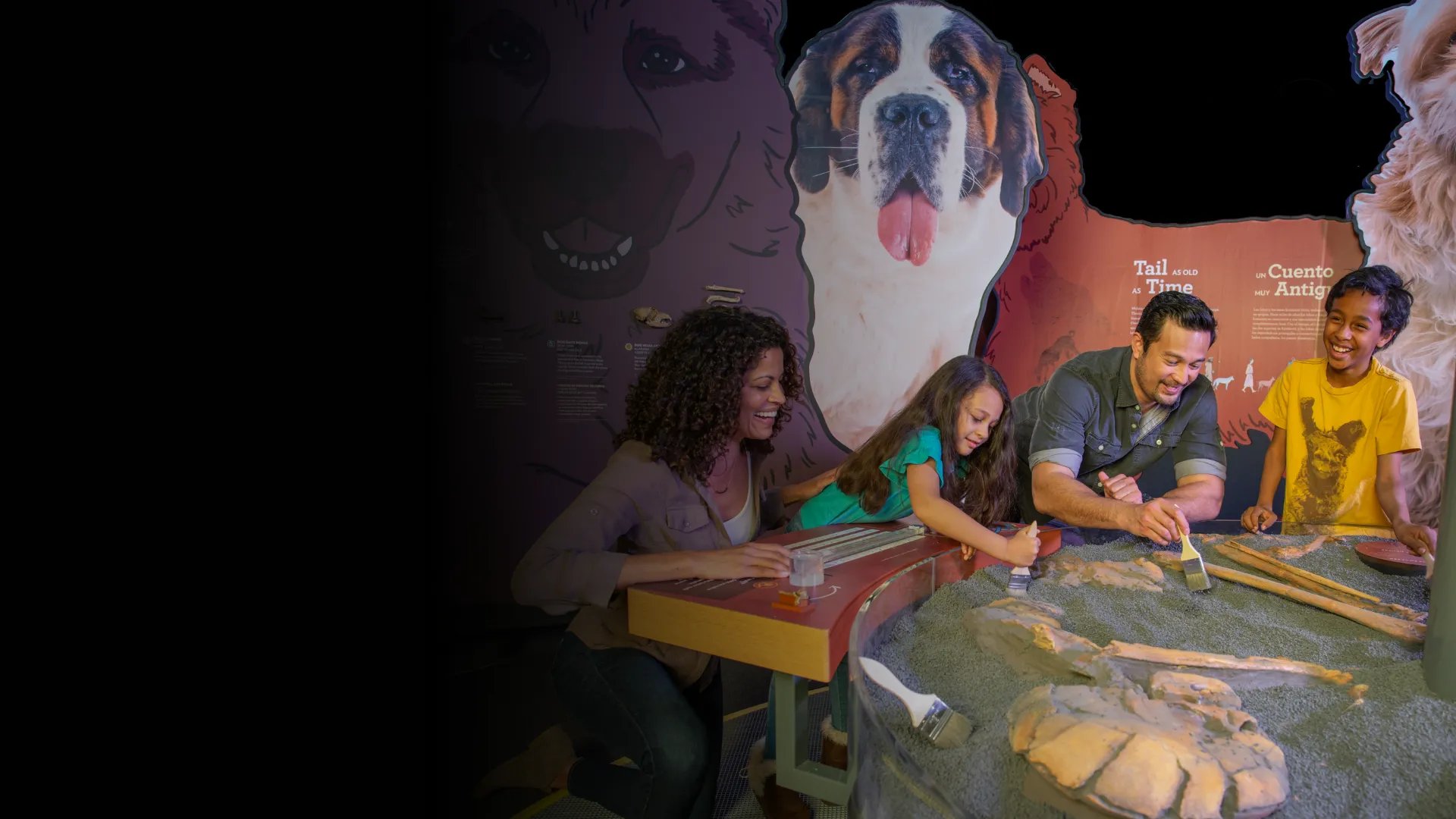 PAWsome Weekend_Banner.png