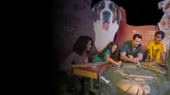 PAWsome Weekend_Banner.png