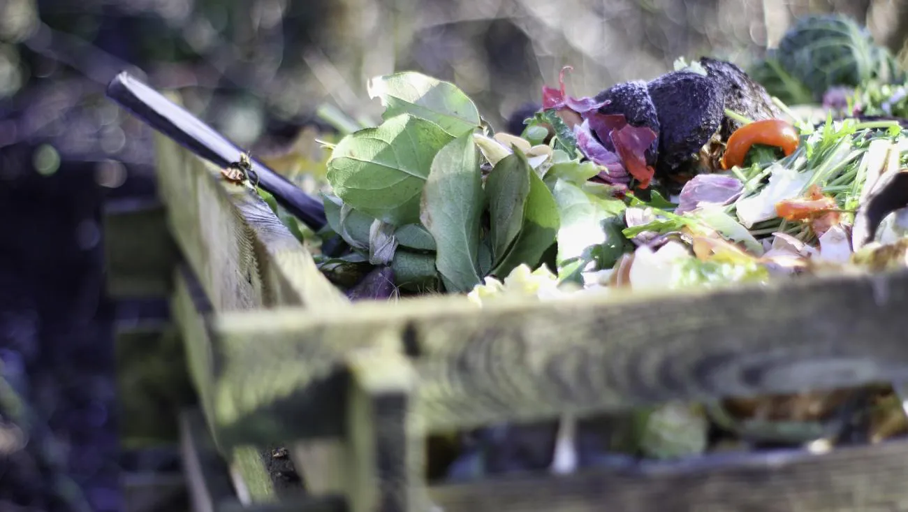 TELUSSPark-garden.jpg