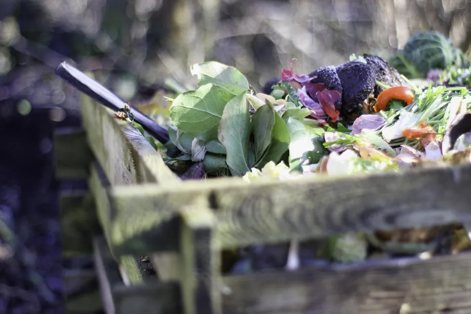 TELUSSPark-garden.jpg