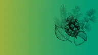 Website Header.jpg