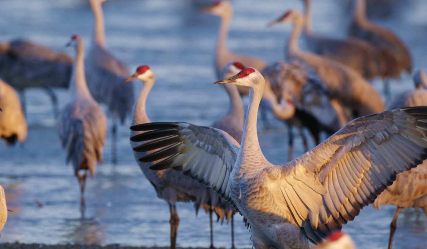 TELUS World of Science