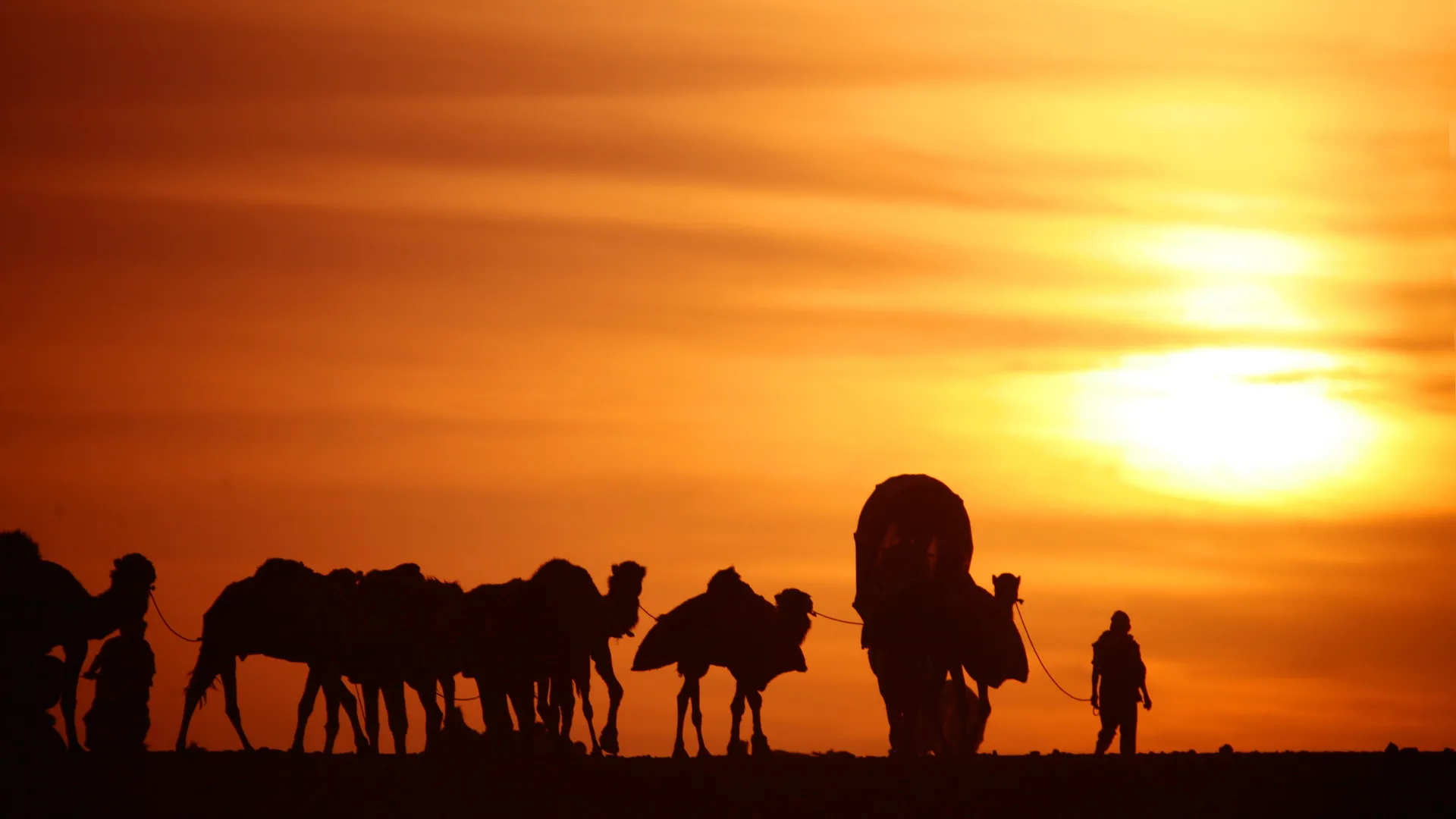 journey to mecca.jpg